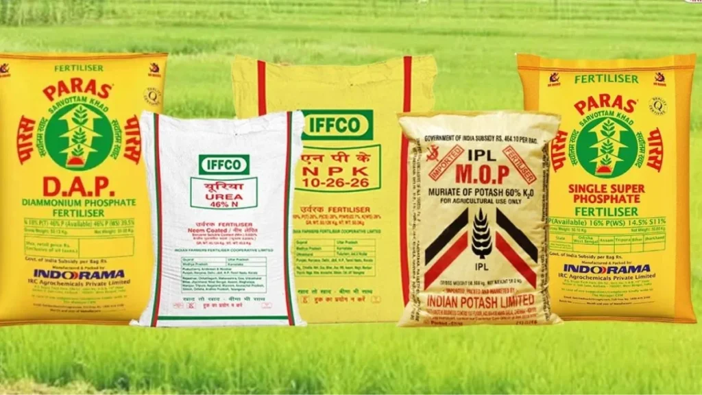 Farmers will have fun, big upset DAP urea prices are fresh rates - Betul Samachar