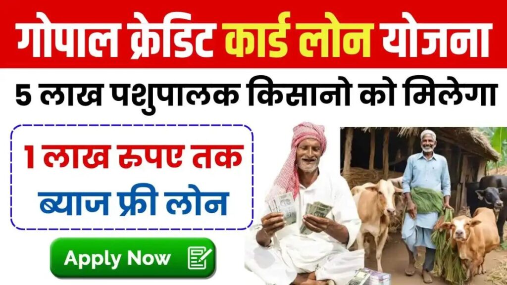 Good news for cattle rearers! Loan of ₹ 1 lakh will be available under this credit card scheme - Betul Samachar
