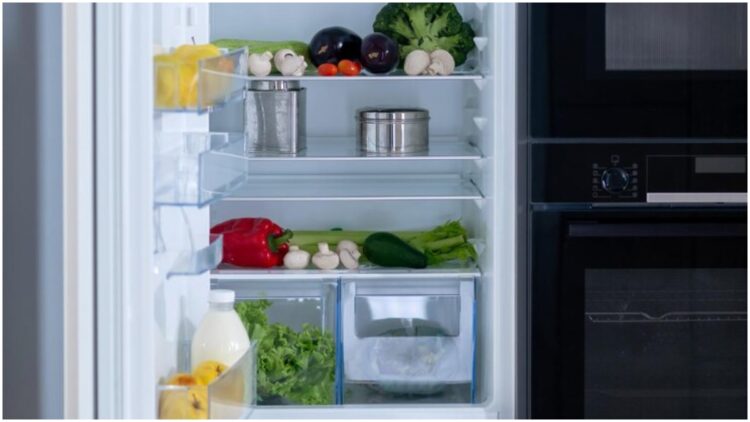 How long should the fridge be kept on in 24 hours? Know the right way to use - India tv hindi