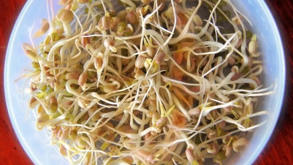 If you have to lose weight fast, then eat the weight in the morning, sprouts rich in fiber, healthy and tetv hindi