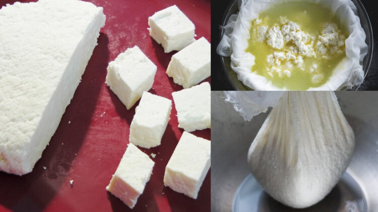 If you want to avoid fake and adulterated cheese, then learn to make at home, prepare with milk in minutes - India tv hindi