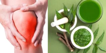 If you want to control uric acid, then use neem leaves in this way - India tv hindi