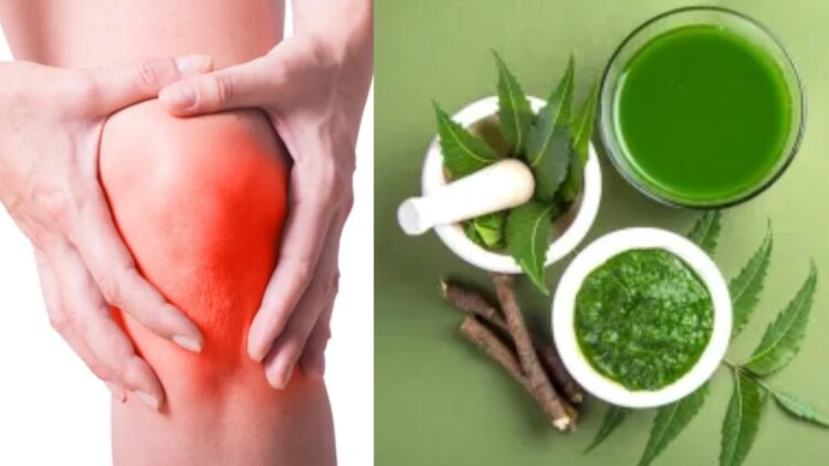 If you want to control uric acid, then use neem leaves in this way - India tv hindi