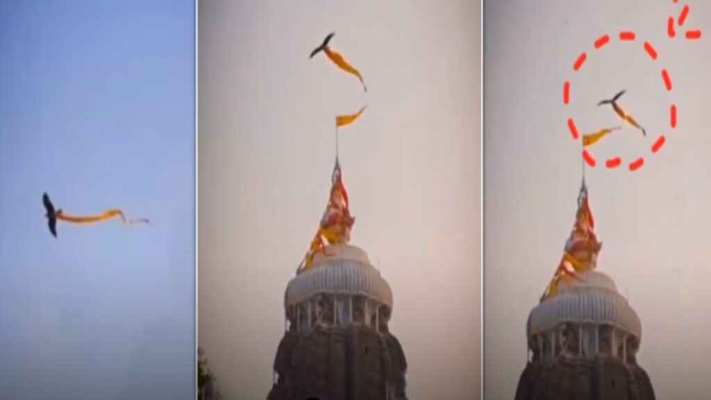 Lord Jagannath Temple | Lord Jagannath Temple News | Garuda Took The Flag of Lord Jagannath Temple | Latest News in Hindi | Newstrack | Garun took the flag flag and indicated Lord Jagannath Temple's affair, reverence or untoward! , News Track in Hindi