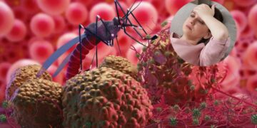 Malaria's havoc increases not only in rain, but also know how to do - India tv hindi