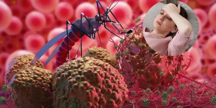 Malaria's havoc increases not only in rain, but also know how to do - India tv hindi