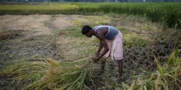 PM Kisan Nidhi Yojna: 20th installment will be released soon, farmers will get relief