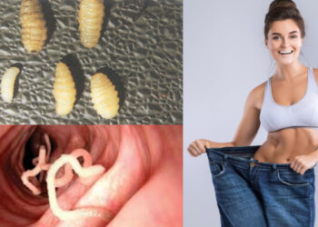 People are getting thin after eating insect eggs, it is fatal, death can happen - India tv hindi
