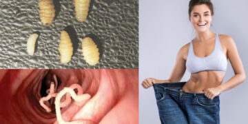 People are getting thin after eating insect eggs, it is fatal, death can happen - India tv hindi
