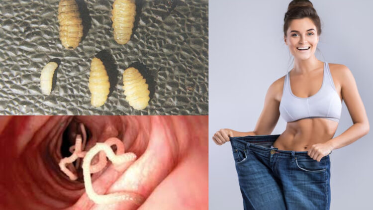 People are getting thin after eating insect eggs, it is fatal, death can happen - India tv hindi