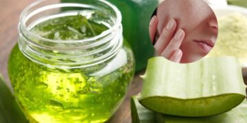Radient and glowing skin should be used in summer, then use aloe vera in these ways - India tv hindi