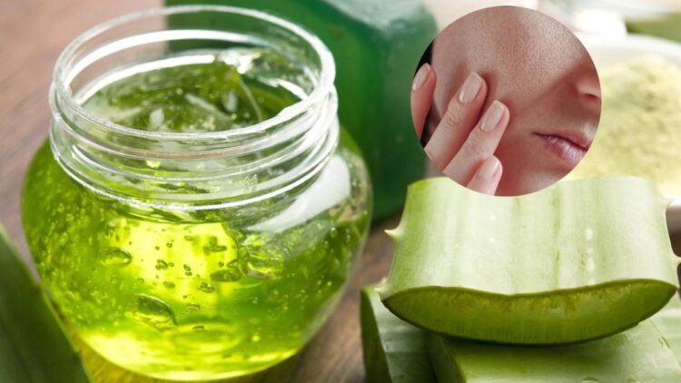 Radient and glowing skin should be used in summer, then use aloe vera in these ways - India tv hindi