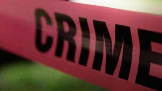 बीड में ध्वनि प्रदूषण की शिकायत पर सरपंच ने महिला वकील को पीटा, विपक्ष ने सीएम फडणवीस पर निशाना साधा