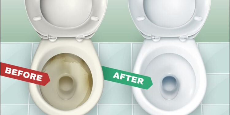 Stubborn bathroom stains will disappear, use this homemade cleaner - India tv hindi