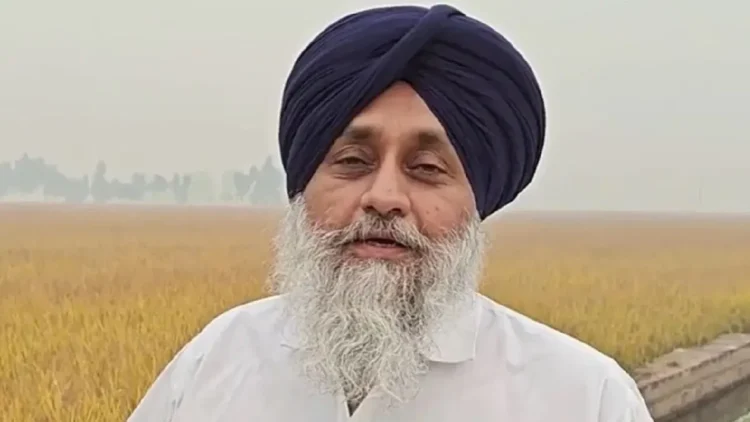 Sukhbir Singh Badal Elected Again Sad President: Sukhbir Singh Badal will again handle Shiromani Akali Dal command, unanimous president, Sukhbir Singh Badal will Once Again TAKE Over the Command of Shiromani Akali Dal, Inkali Dal presiding