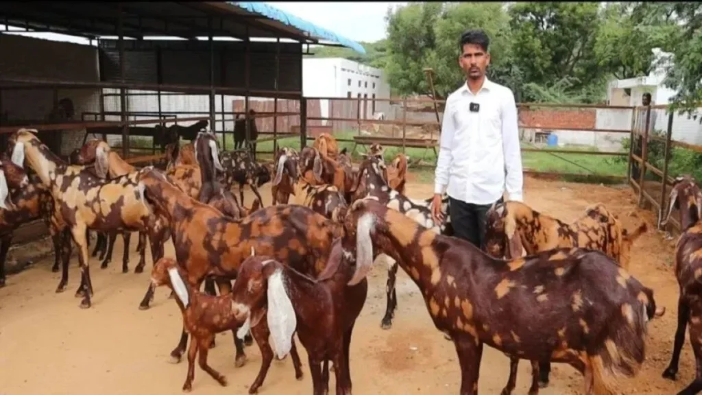 The fate of farmers will erase the poverty of poverty and follow this particular breed's reader about the huge demand of milk - Betul Samachar