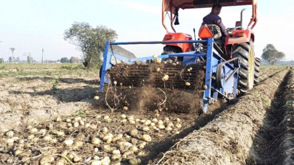 The pride of this state is becoming the king of vegetables, production is getting hurt, millions of farmers benefit - Betul Samachar