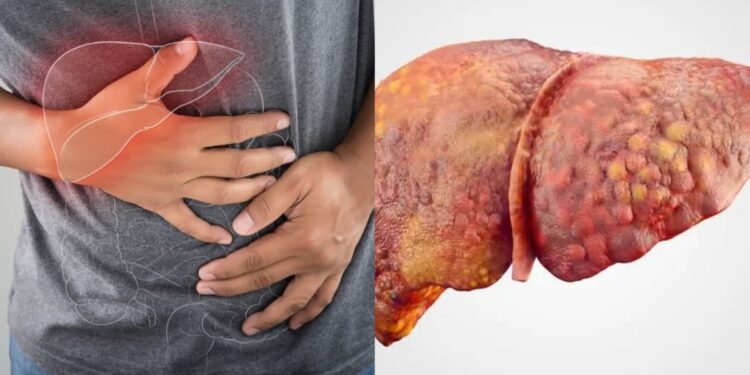 These symptoms start appearing when liver malfunction, learn from experts saving the liver from rotting - India tv hindi