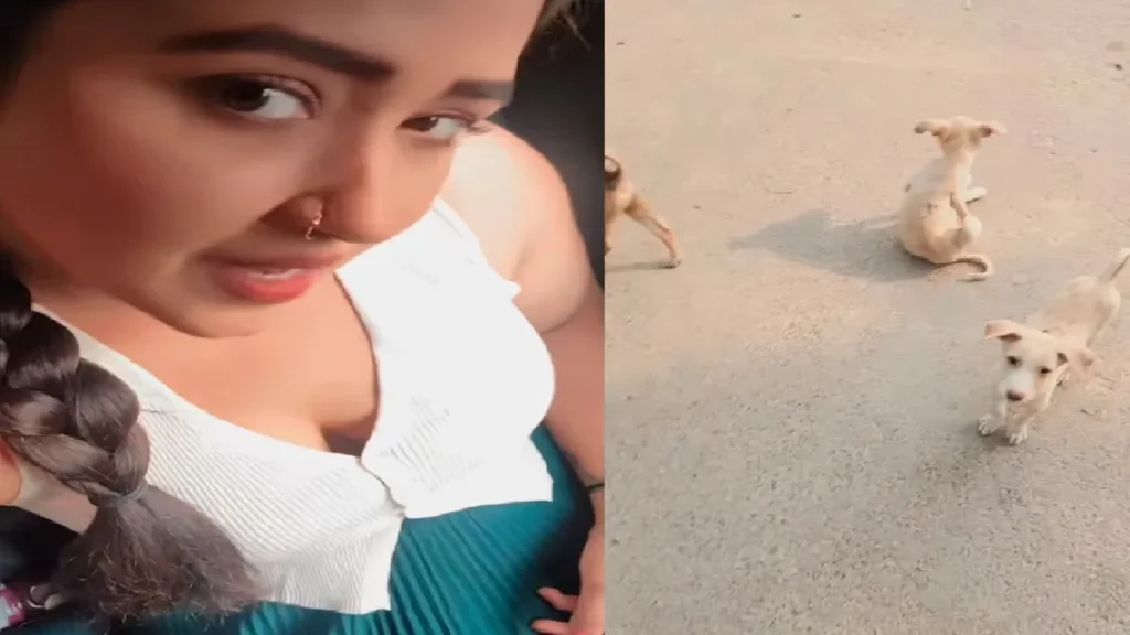 This video of Kajal Raghwani will touch the heart, this love of actresses is Kaabil-e-anament