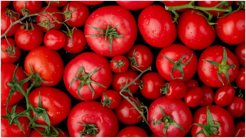 Tomatoes are becoming expensive, so definitely follow these easy tips to store - India tv hindi