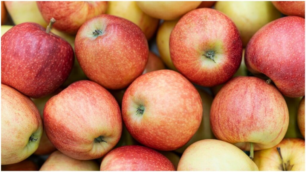 When to eat apple in summer, know which is the best time to eat this fruit? - India tv hindi