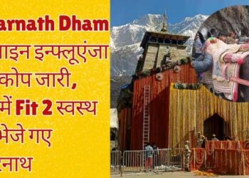 Kedarnath Dham: Equine Influenza outbreak continues, FIT 2 healthy horses sent to Kedarnath