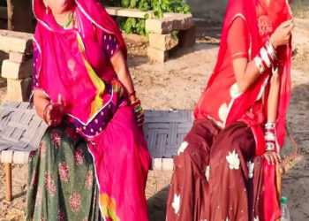 Bahu was hanged in the crime of killing mother -in -law, attacked with Hansia 95 times