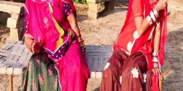 Bahu was hanged in the crime of killing mother -in -law, attacked with Hansia 95 times