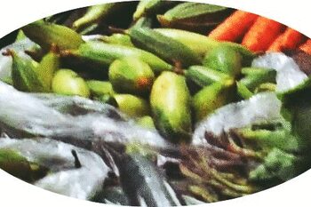 Benefits of Parwal, who should avoid blood purifying vegetables