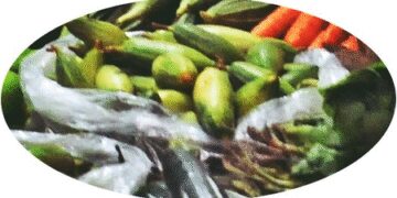 Benefits of Parwal, who should avoid blood purifying vegetables