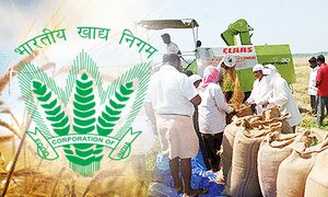 खाद्य भंडारण की गुणवत्ता बढ़ाने के लिए केंद्र सरकार लॉन्च करेगी डिपो दर्पण पोर्टल