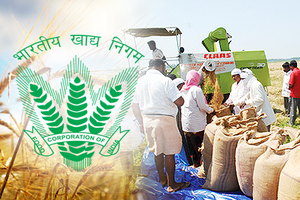 खाद्य भंडारण की गुणवत्ता बढ़ाने के लिए केंद्र सरकार लॉन्च करेगी डिपो दर्पण पोर्टल