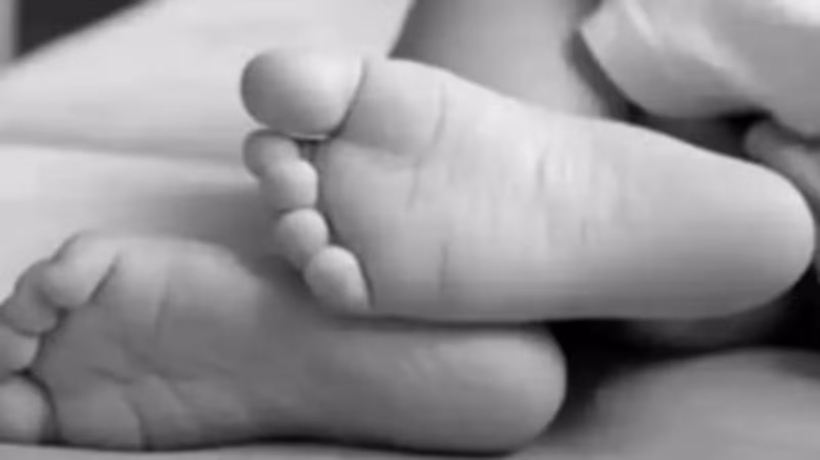 Considering the daughter to kill a daughter for one and a half years, then falling on the wife's feet and said, please do not make a ruckus… Know the whole matter