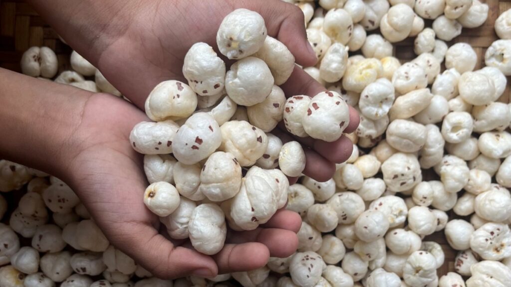 Consuming Makhana is beneficial in these serious diseases, know the right time and way to eat it