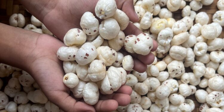 Consuming Makhana is beneficial in these serious diseases, know the right time and way to eat it