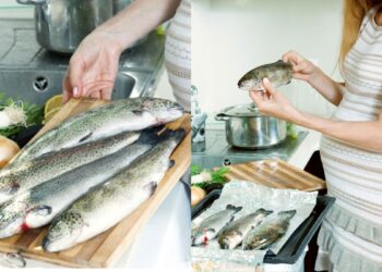 Consumption of fish in pregnancy is harmful for health, know which problems can be done?