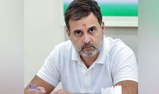 Defamation case: Rahul will not be given information about Savarkar's grandson's mother, petition dismissed