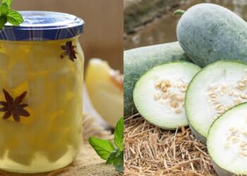 Drinking white pumpkin juice removes many serious problems, know the right time to drink and