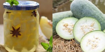 Drinking white pumpkin juice removes many serious problems, know the right time to drink and