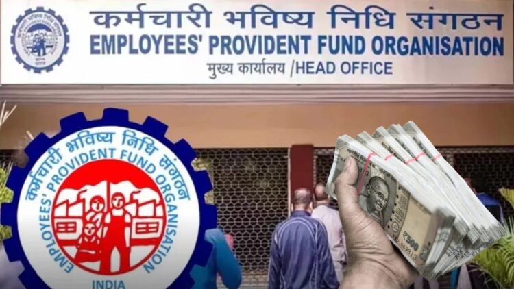 EPFO made these 5 big changes for PF account holder, members are members, know what is new for you?