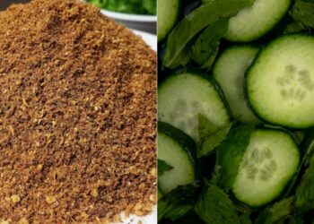 Eat cucumber-cucumber with this spicy chaat spices instead of salt, the taste will increase manifold