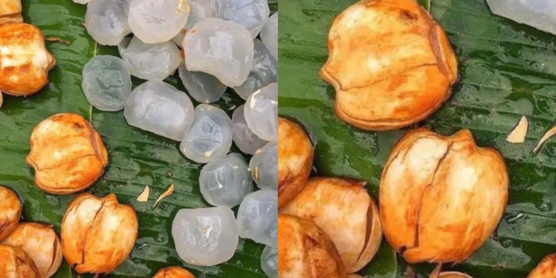 Eating Tadgola gives many best benefits, learn why want to do in summer