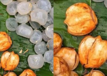 Eating Tadgola gives many best benefits, learn why want to do in summer