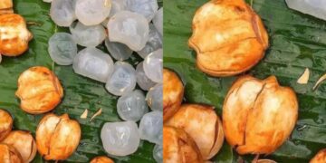 Eating Tadgola gives many best benefits, learn why want to do in summer