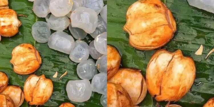 Eating Tadgola gives many best benefits, learn why want to do in summer