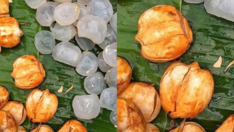 Eating Tadgola gives many best benefits, learn why want to do in summer