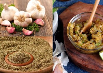 Eating roasted garlic, chilli and celery sauce will get a tremendous taste, know how to make