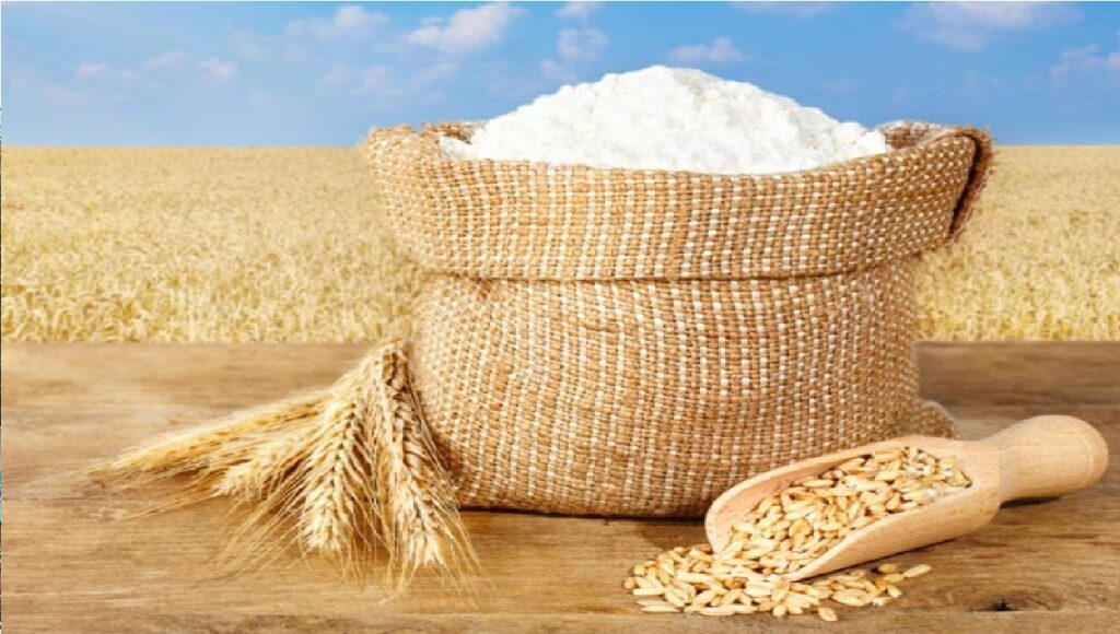 Farmers' hard work paid off, this year there will be record breaking yield of wheat, flour prices will not increase