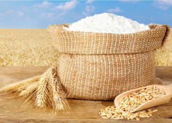 Farmers' hard work paid off, this year there will be record breaking yield of wheat, flour prices will not increase