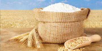 Farmers' hard work paid off, this year there will be record breaking yield of wheat, flour prices will not increase